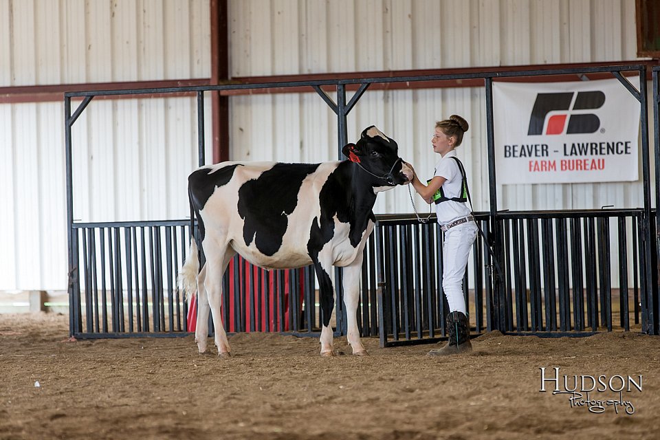 LCFAIR-081618-4321.jpg