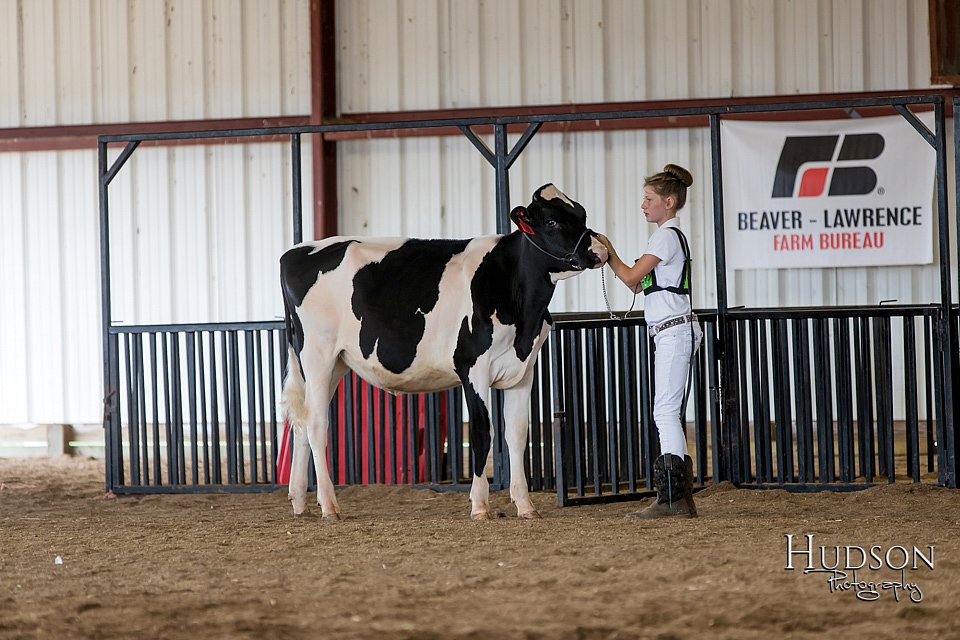 LCFAIR-081618-4322.jpg
