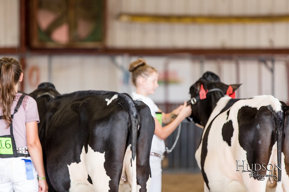 LCFAIR-081618-4341.jpg