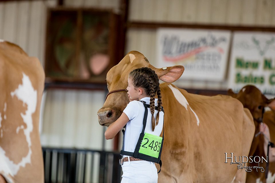 LCFAIR-081618-4702.jpg