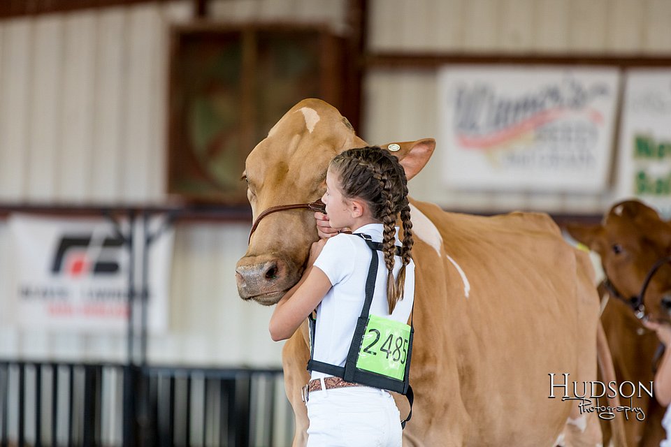 LCFAIR-081618-4703.jpg