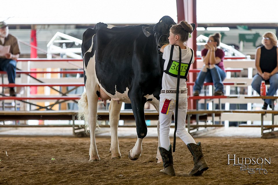 LCFAIR-081618-4714.jpg