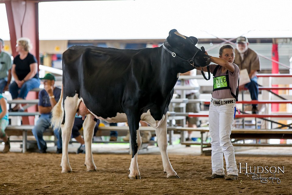 LCFAIR-081618-4716.jpg