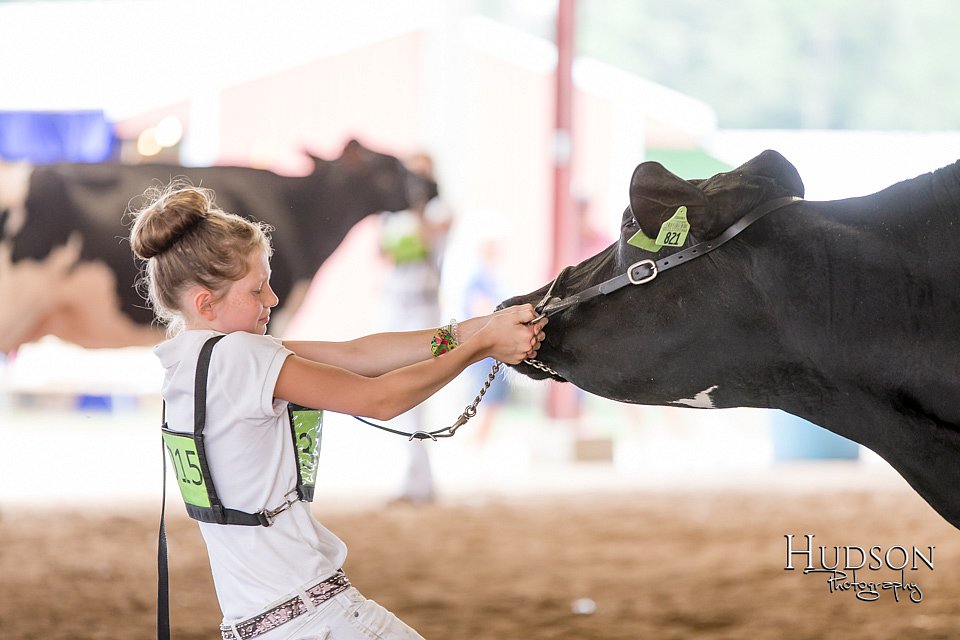 LCFAIR-081618-4726.jpg