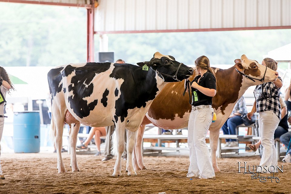 LCFAIR-081618-4727.jpg