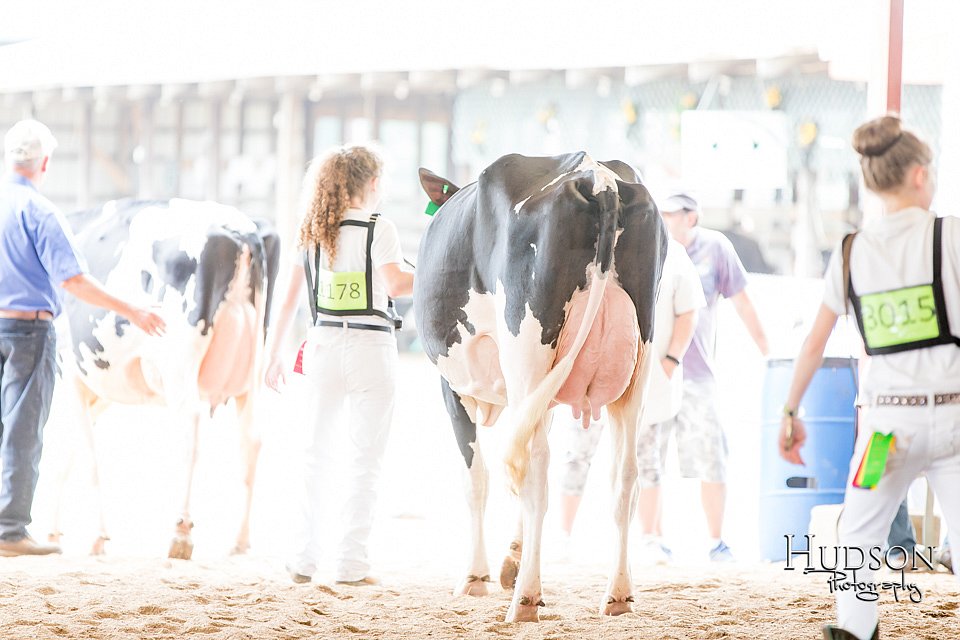 LCFAIR-081618-4749.jpg