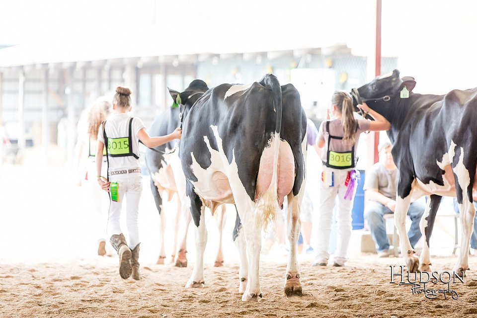 LCFAIR-081618-4750.jpg