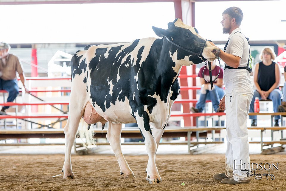 LCFAIR-081618-4755.jpg