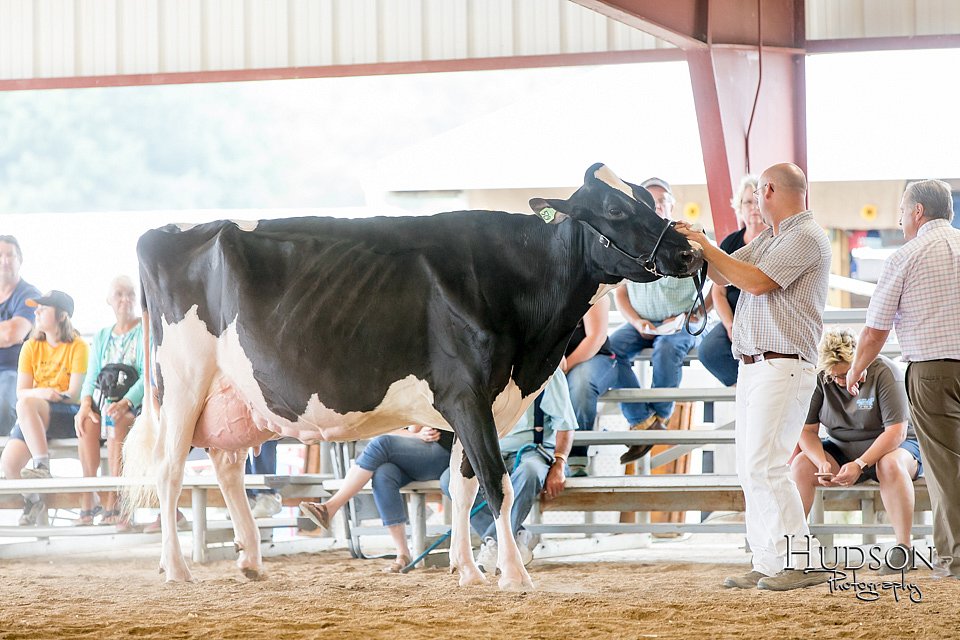 LCFAIR-081618-4767.jpg