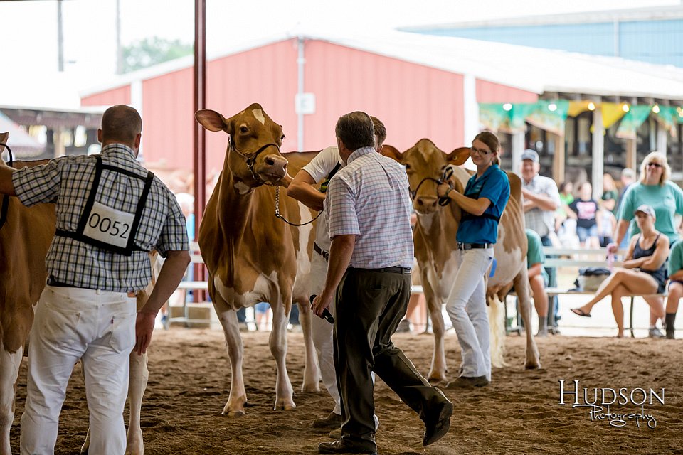LCFAIR-081618-4771.jpg