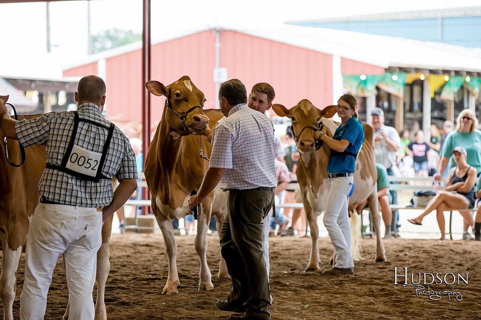 LCFAIR-081618-4772.jpg