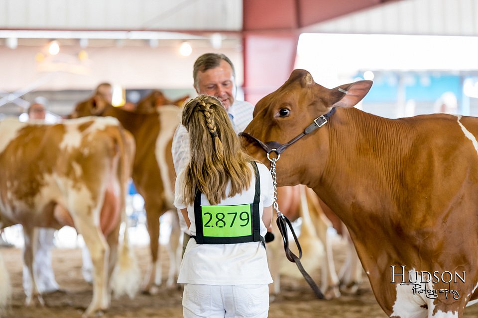 LCFAIR-081618-4776.jpg