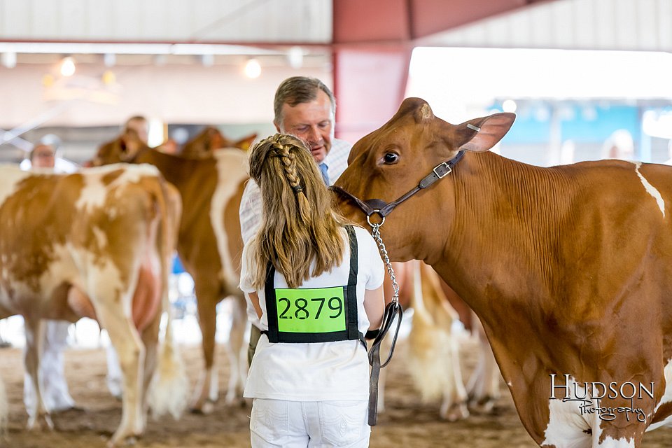 LCFAIR-081618-4777.jpg
