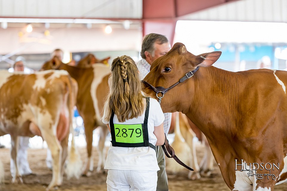 LCFAIR-081618-4779.jpg