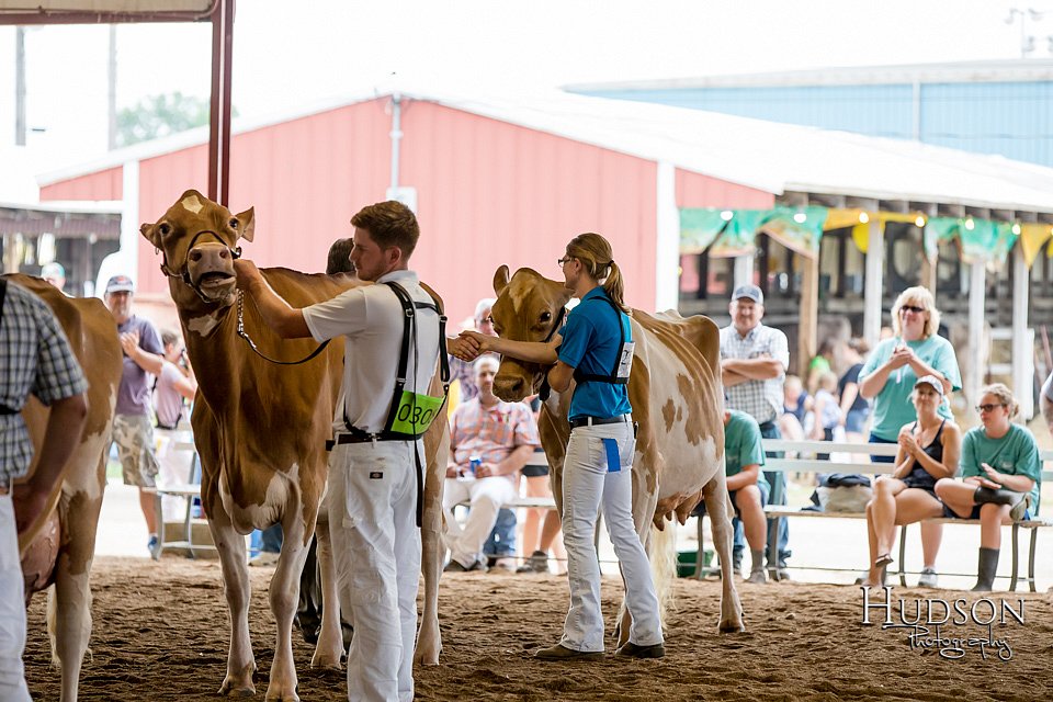 LCFAIR-081618-4780.jpg