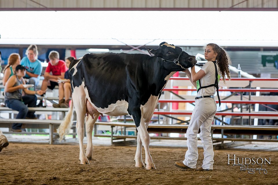 LCFAIR-081618-4781.jpg