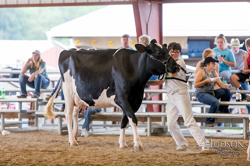 LCFAIR-081618-4783.jpg