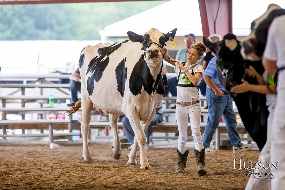LCFAIR-081618-4784.jpg
