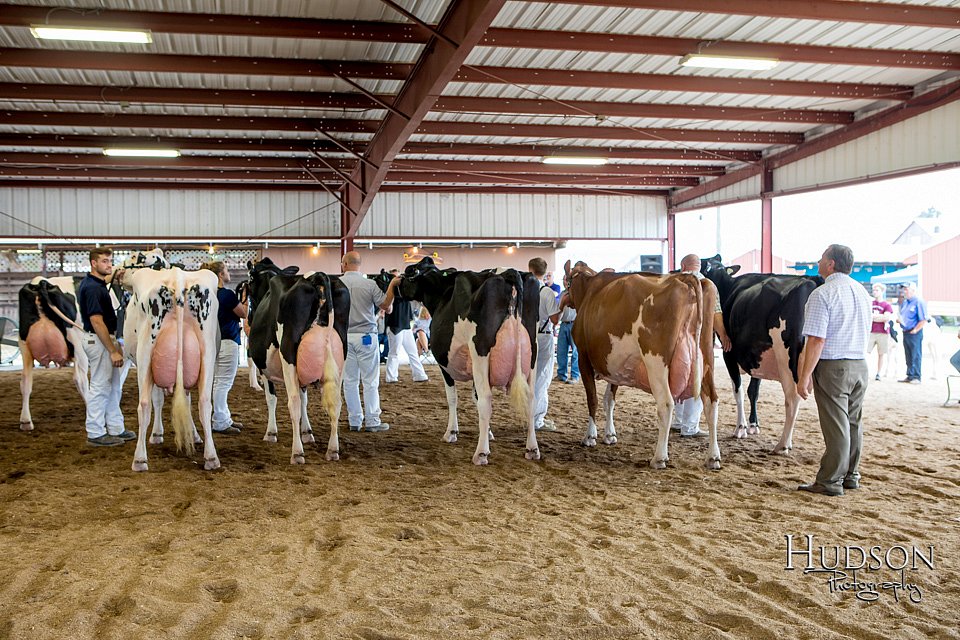 LCFAIR-081618-4816.jpg
