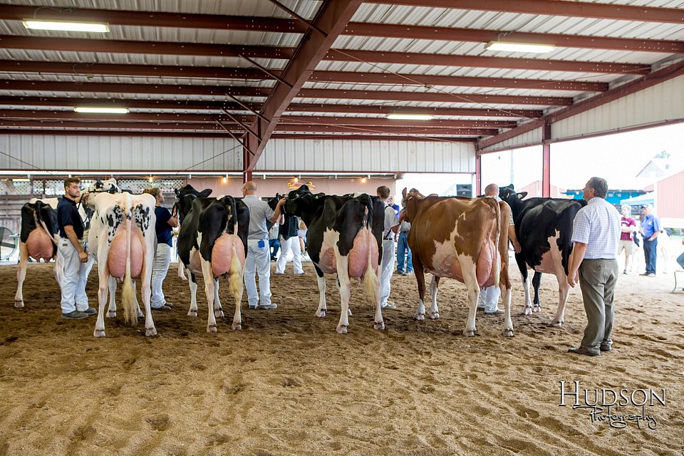 LCFAIR-081618-4817.jpg