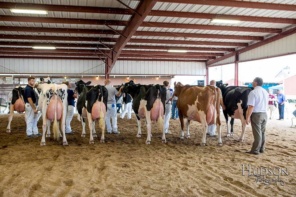 LCFAIR-081618-4818.jpg
