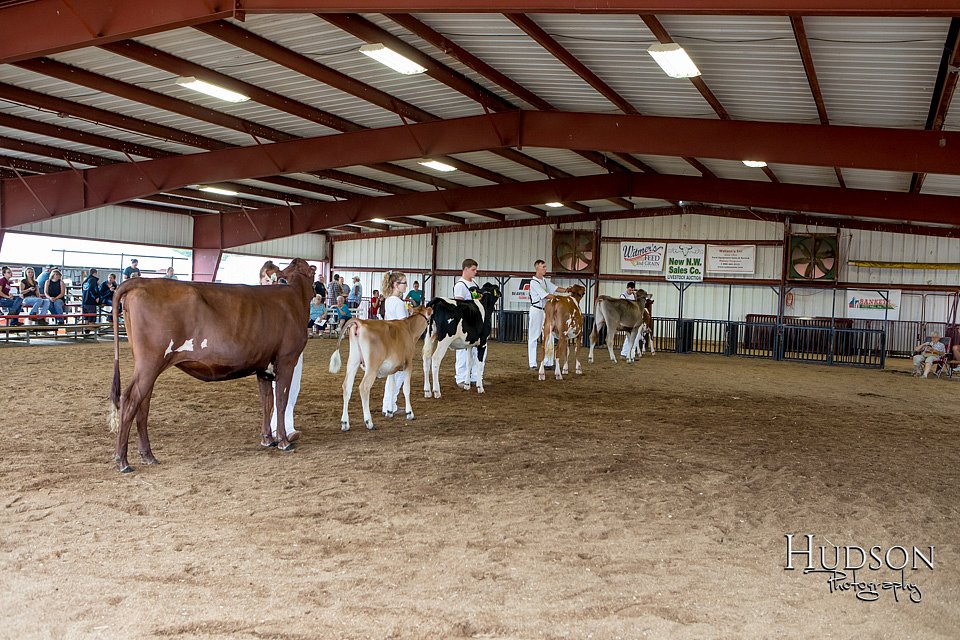LCFAIR-081618-4899.jpg
