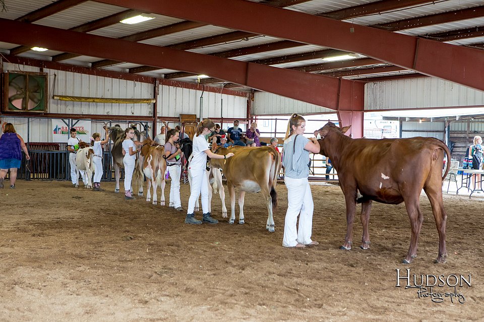 LCFAIR-081618-4931.jpg