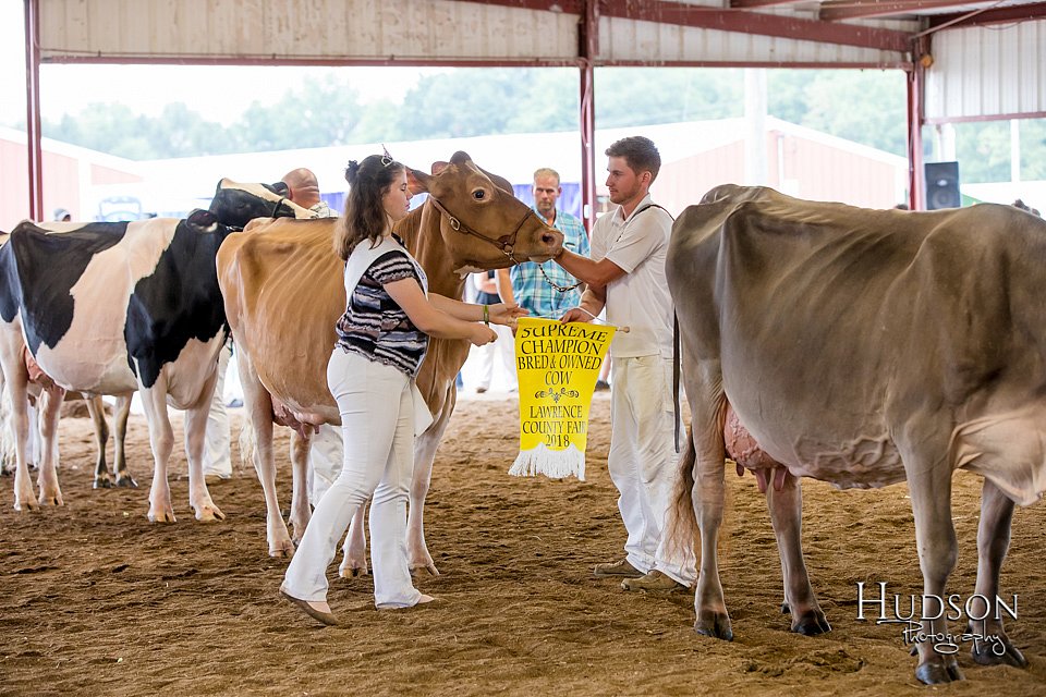 LCFAIR-081618-5029.jpg