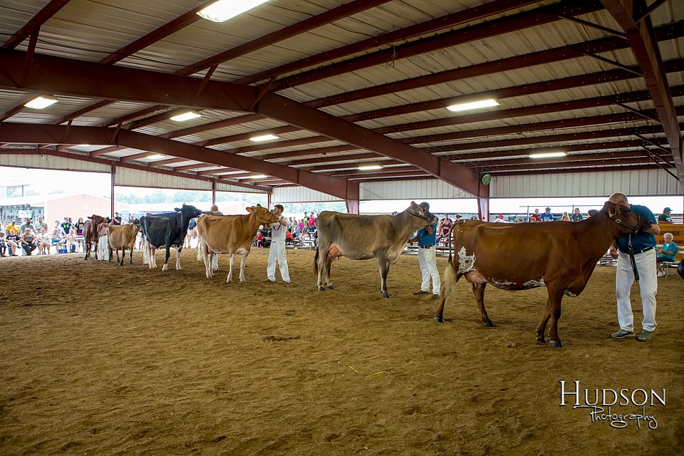 LCFAIR-081618-5056.jpg