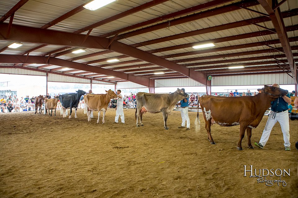 LCFAIR-081618-5057.jpg