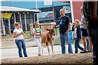 LCFAIR-081618-4187.jpg