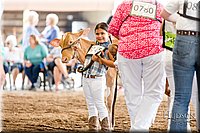 LCFAIR-081618-4227.jpg