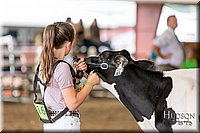LCFAIR-081618-4257.jpg