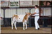 LCFAIR-081618-4276.jpg