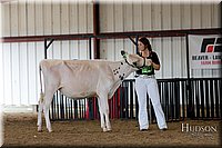 LCFAIR-081618-4282.jpg