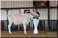 LCFAIR-081618-4284.jpg