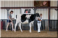 LCFAIR-081618-4287.jpg