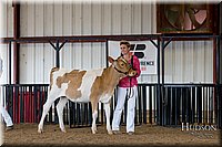 LCFAIR-081618-4299.jpg
