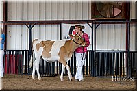 LCFAIR-081618-4300.jpg