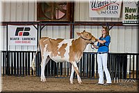 LCFAIR-081618-4303.jpg