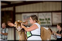 LCFAIR-081618-4306.jpg
