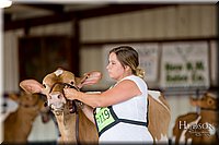 LCFAIR-081618-4307.jpg