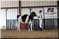 LCFAIR-081618-4321.jpg