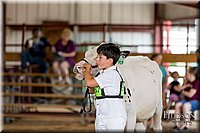 LCFAIR-081618-4330.jpg