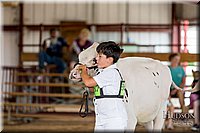 LCFAIR-081618-4331.jpg
