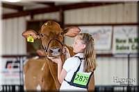 LCFAIR-081618-4704.jpg