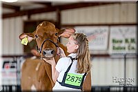 LCFAIR-081618-4705.jpg