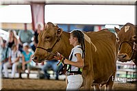 LCFAIR-081618-4706.jpg