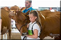 LCFAIR-081618-4707.jpg