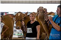LCFAIR-081618-4708.jpg